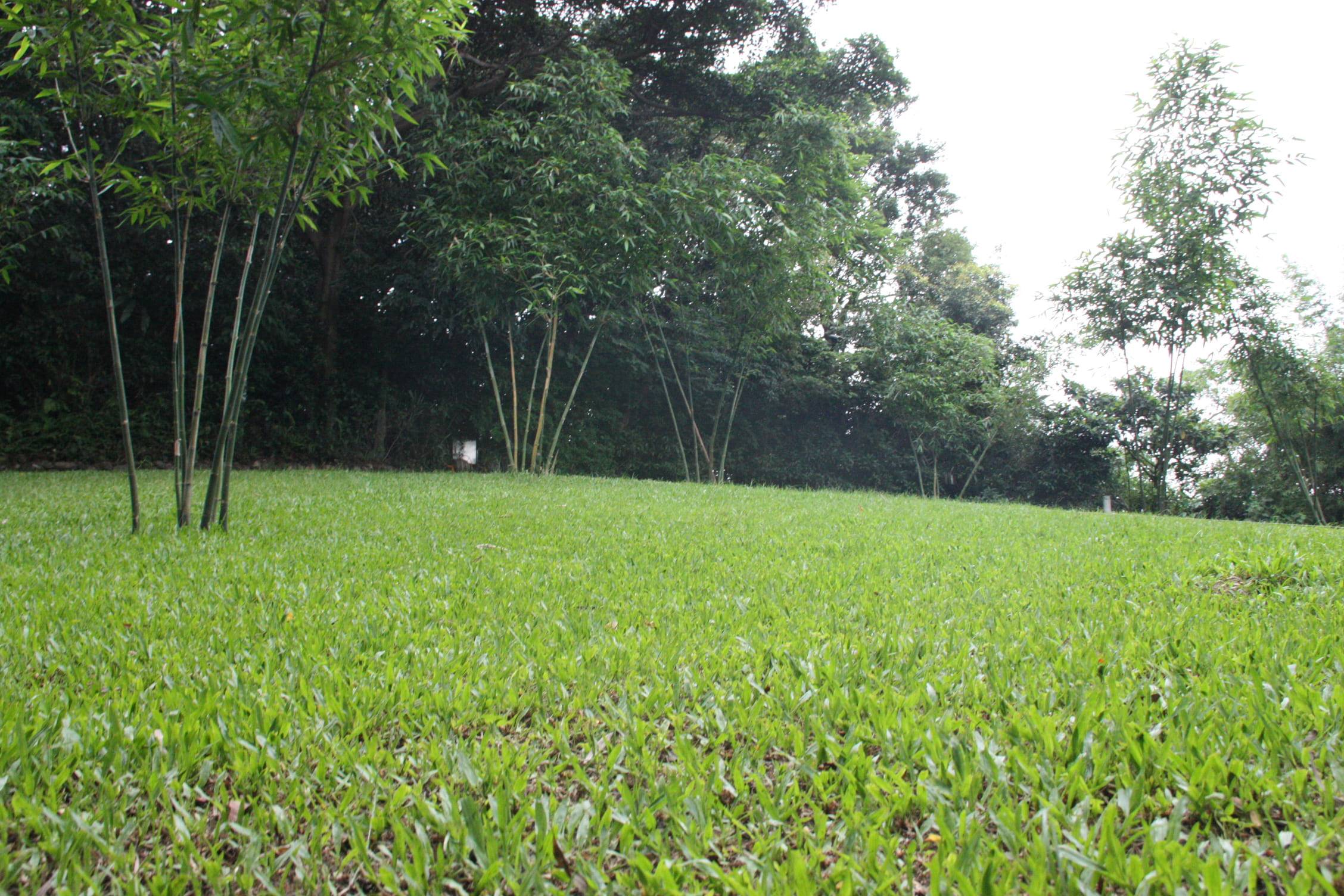 Eco-friendly Memorial Garden